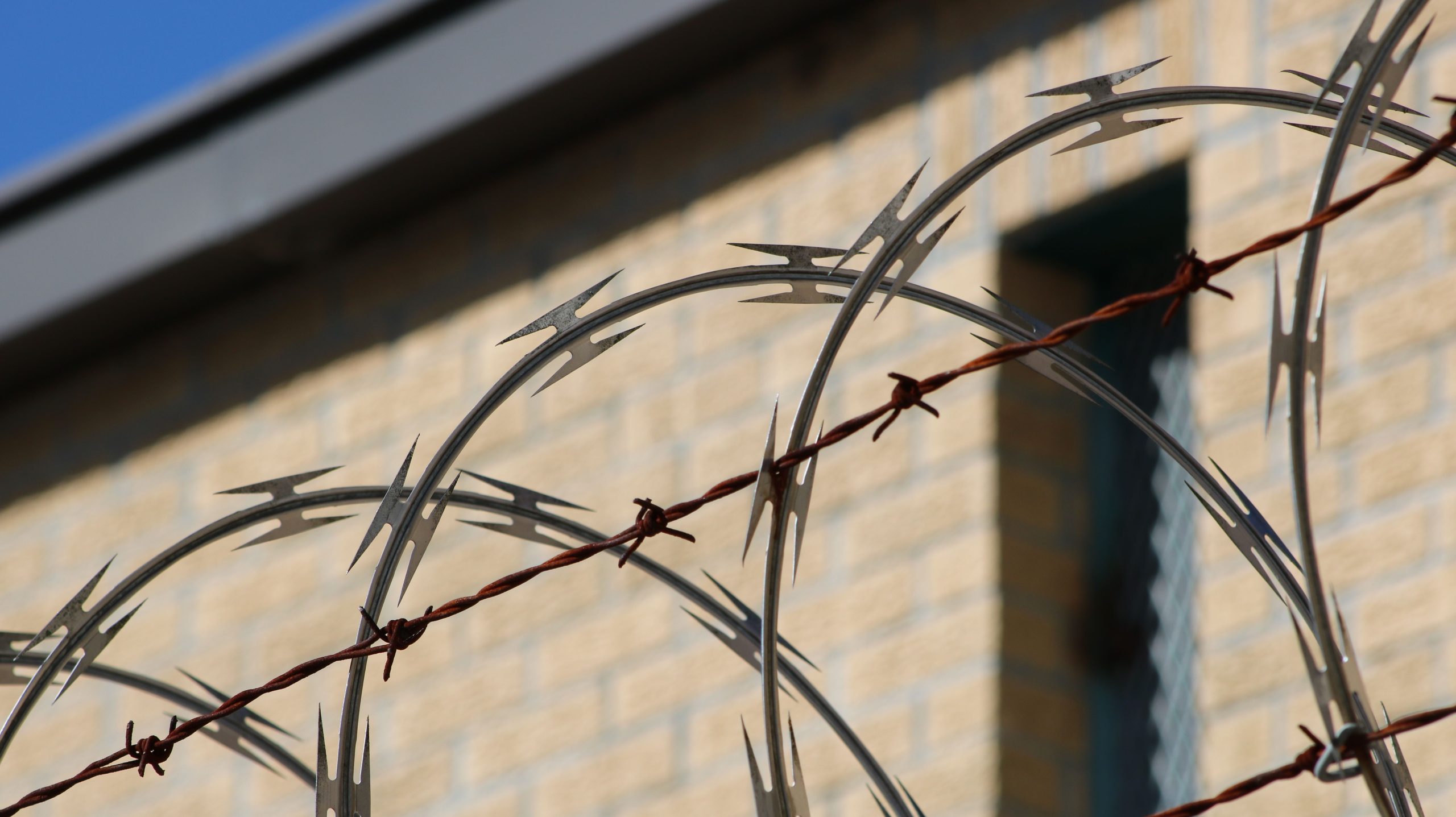 Deaf migrants deported without access to sign language interpreters