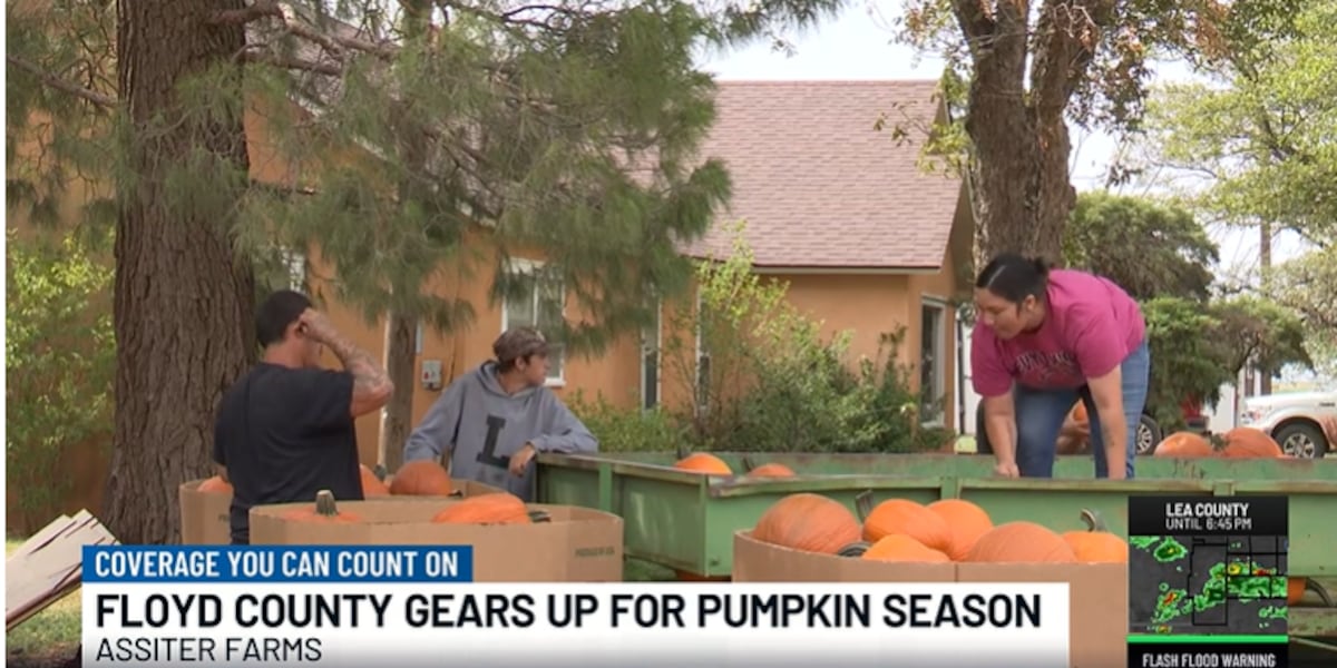 Floydada pumpkin farm is ready for visitors - fox34.com