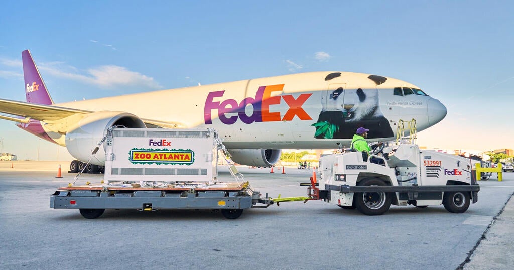 New giant pandas from China arrive in Atlanta zoo