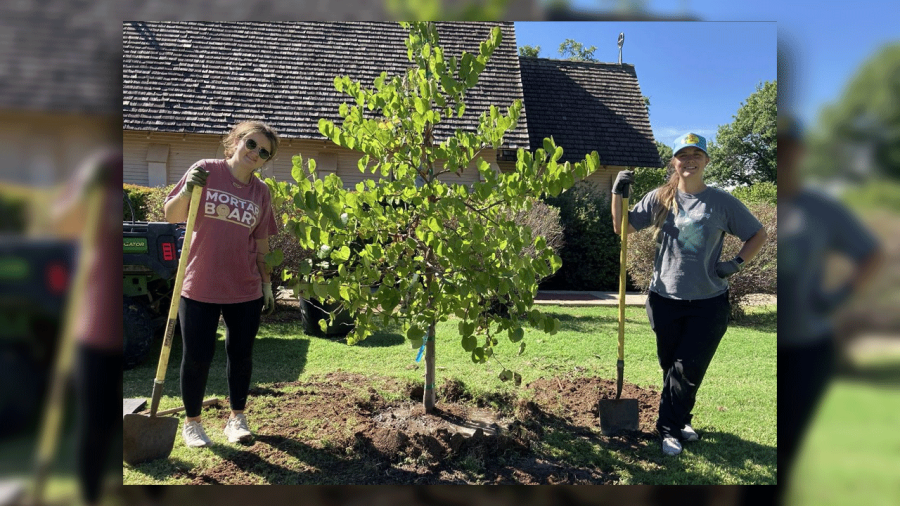'Trees 'R Us!': Learn about Lubbock Arboretum at free event